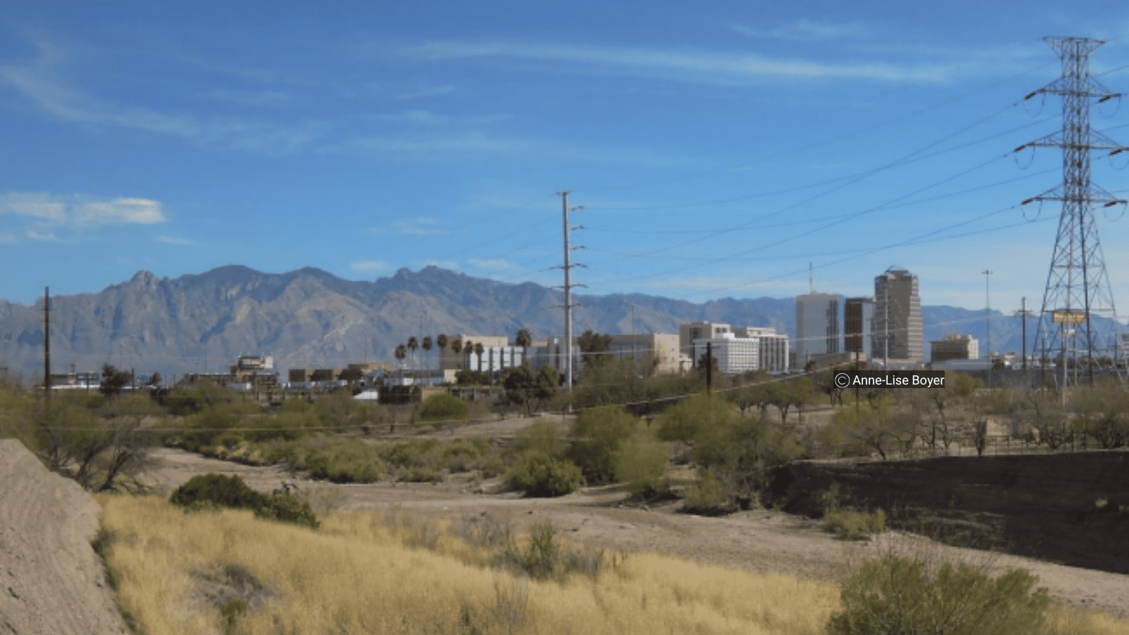 Image du DE LA VILLE-OASIS A LA VILLE DESERT (thèse)